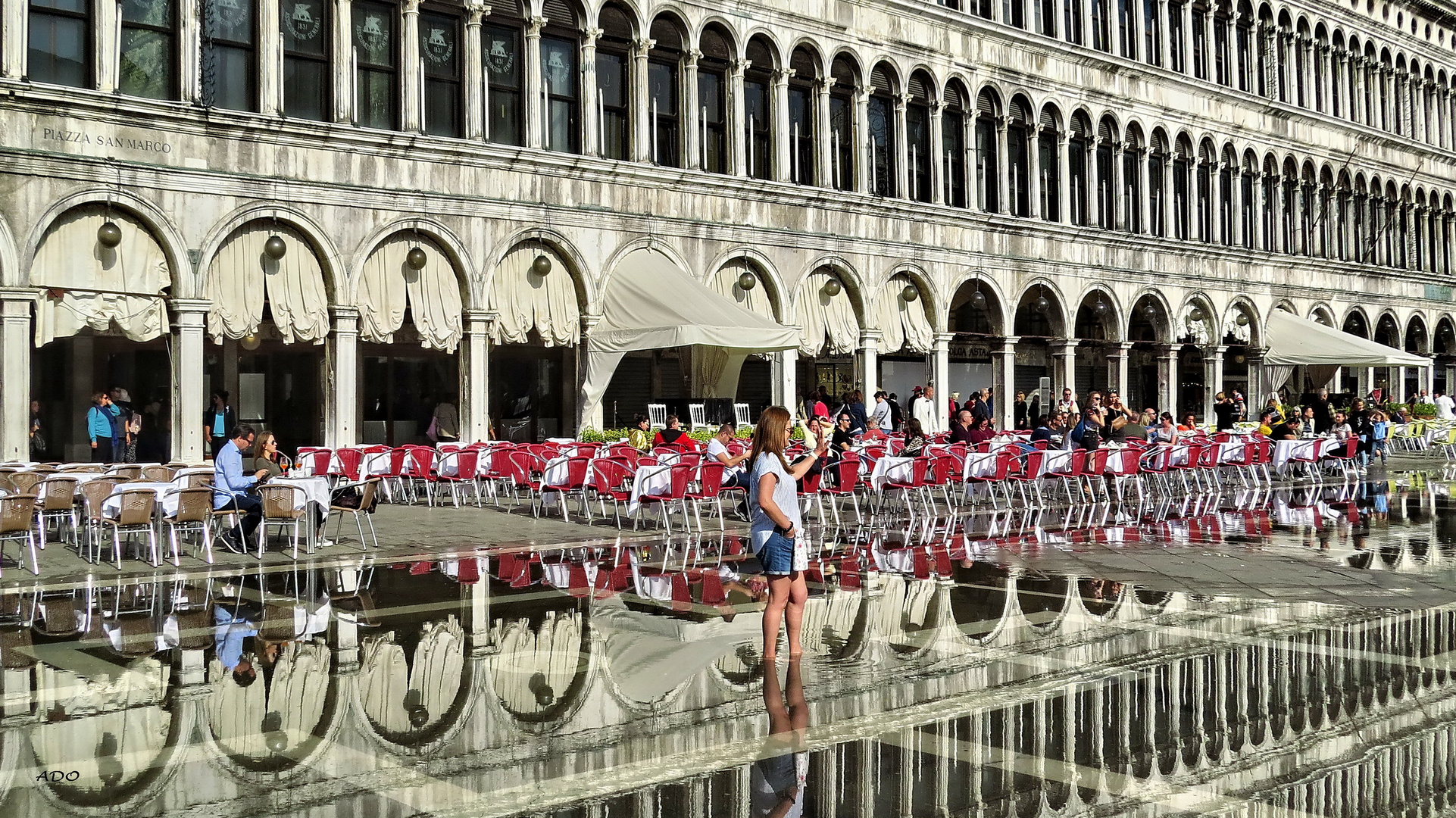 Chaises rouges sur la place Saint-Marc