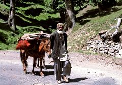 Chak Stammesangehöriger, Kashmir