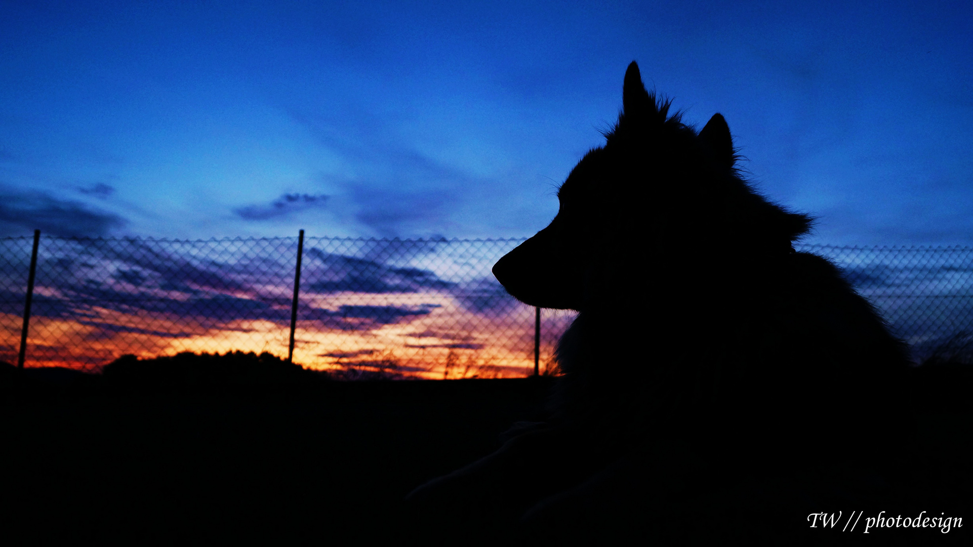 Chako vor Sonnenuntergang