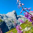 Chalchschijen ,Maderanertal