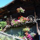 Chalet der urwüchsigen Gemeinde Mürren im Berner Oberland