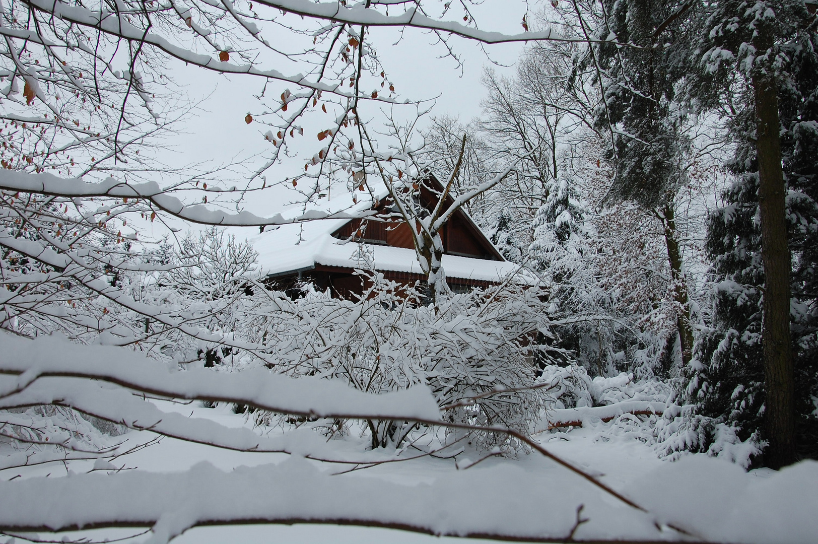 Chalet en montagne ? Non, dans la plaine d'Alsace