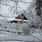 Chalet en montagne ? Non, dans la plaine d'Alsace