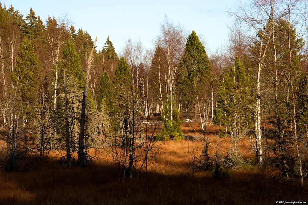 Chaleur d'automne