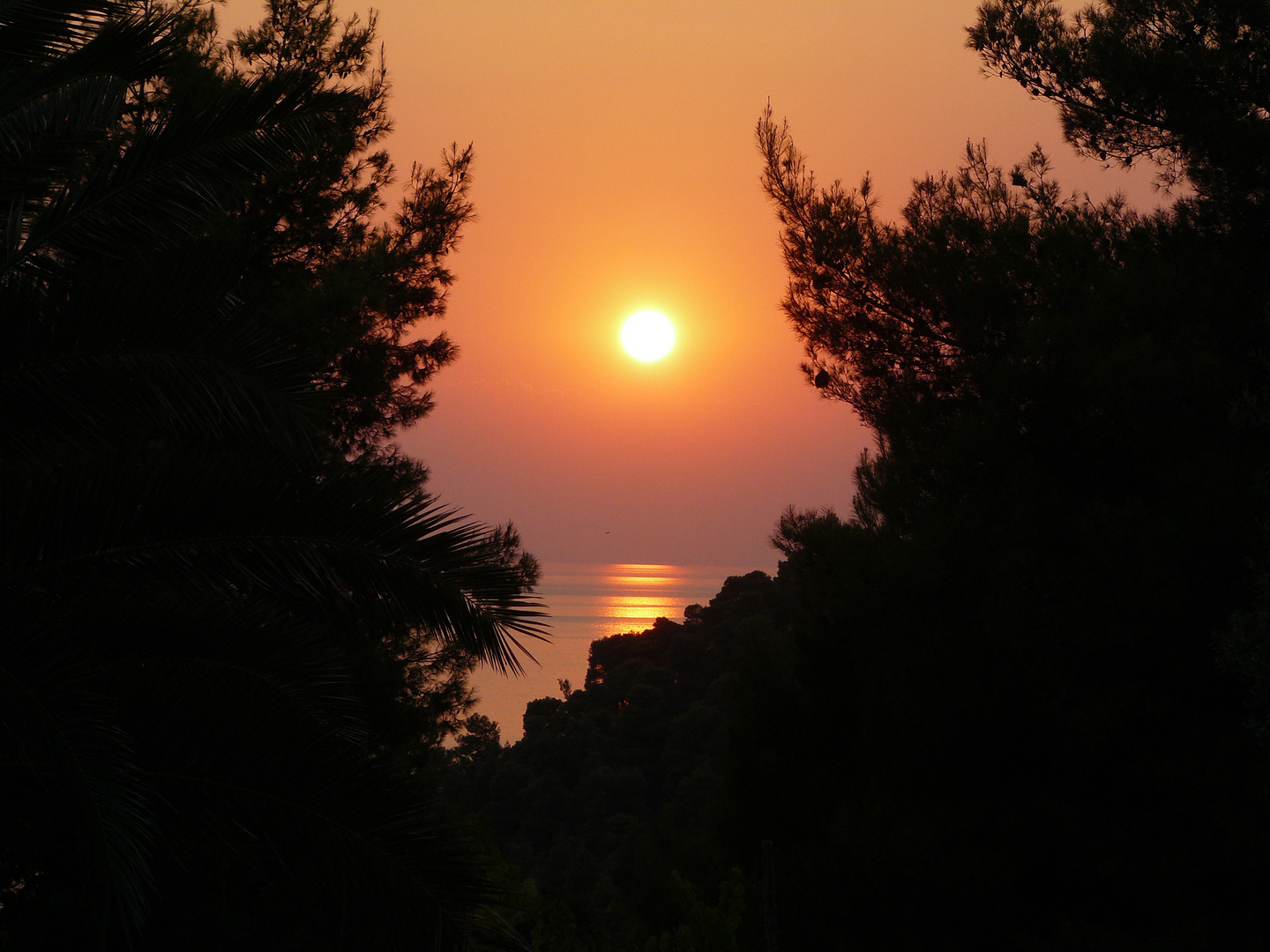 Chalkidiki Fourka