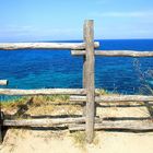 Chalkidiki Sani Beach