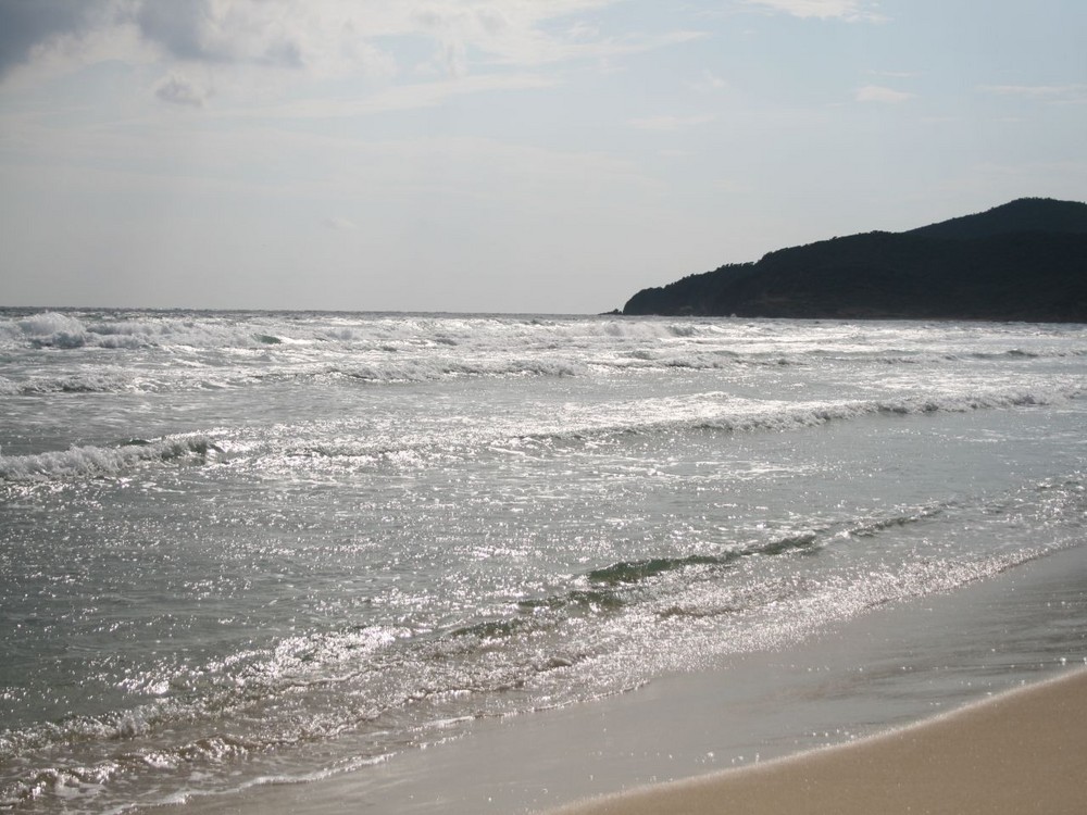 Chalkidiki, Sarti