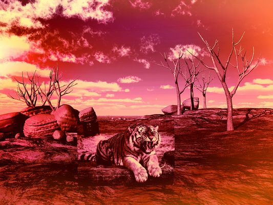 Challenge in einem fernen Land