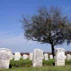 Chalmette National Cemetary...