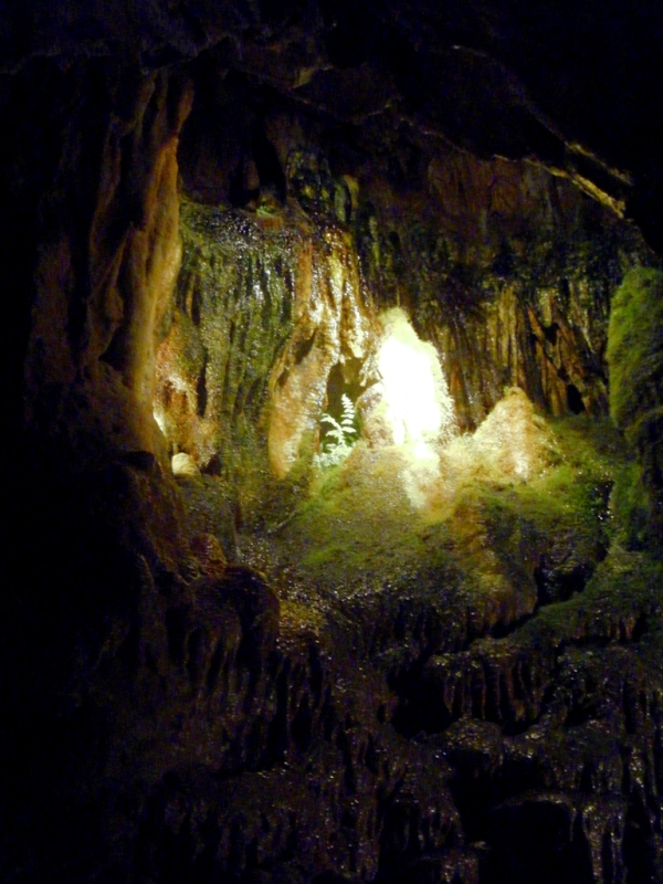 Chalottenhöhle in Gingen a.d. Brenz