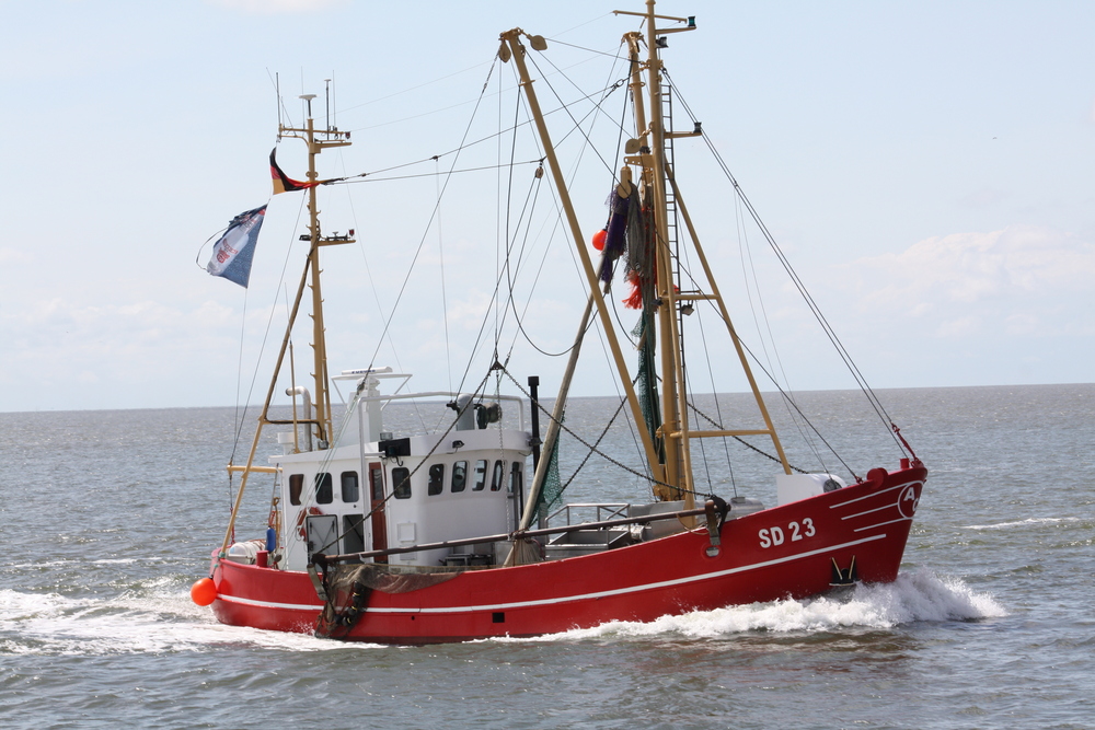 CHALUTIER A BÜSUM NORD ALLEMAGNE NORDSEE