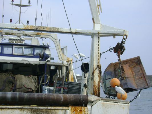 Chalutier du port de Sète