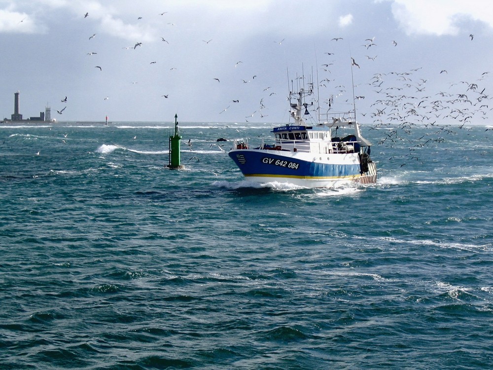 Chalutier rentrant dans le port de St Guénolé