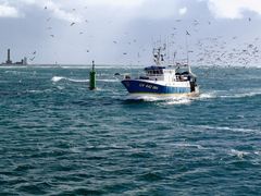 Chalutier rentrant dans le port de St Guénolé