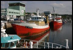 " Chalutiers de Concarneau qui rechargent des tonnes de glace dans leurs cales "