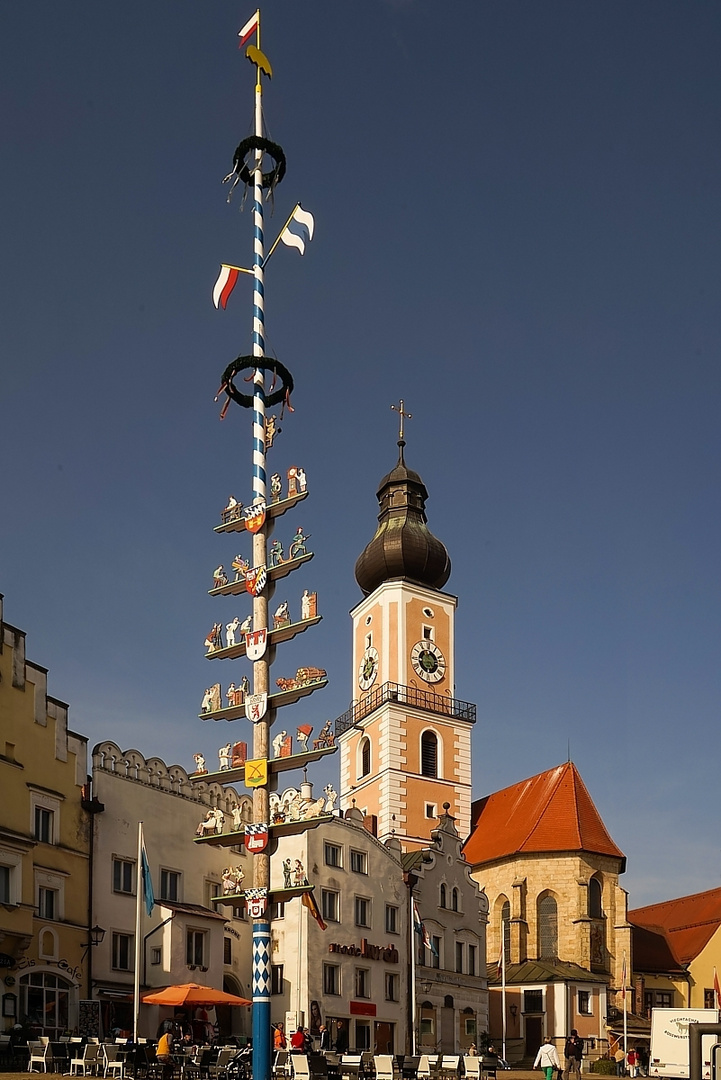 Cham und sein Maibaum