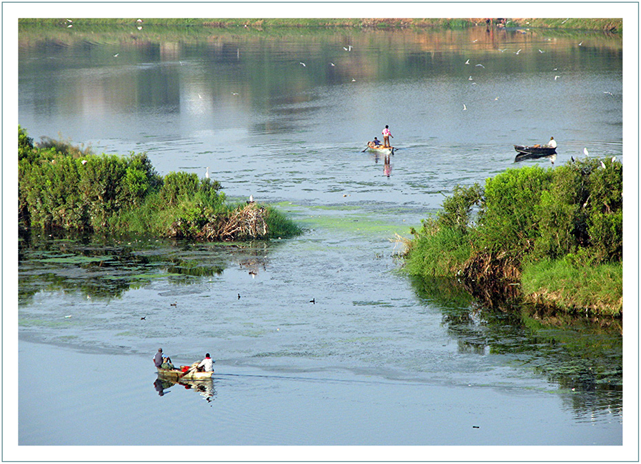 Chambal River