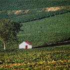 Chambertin