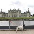 Chambord