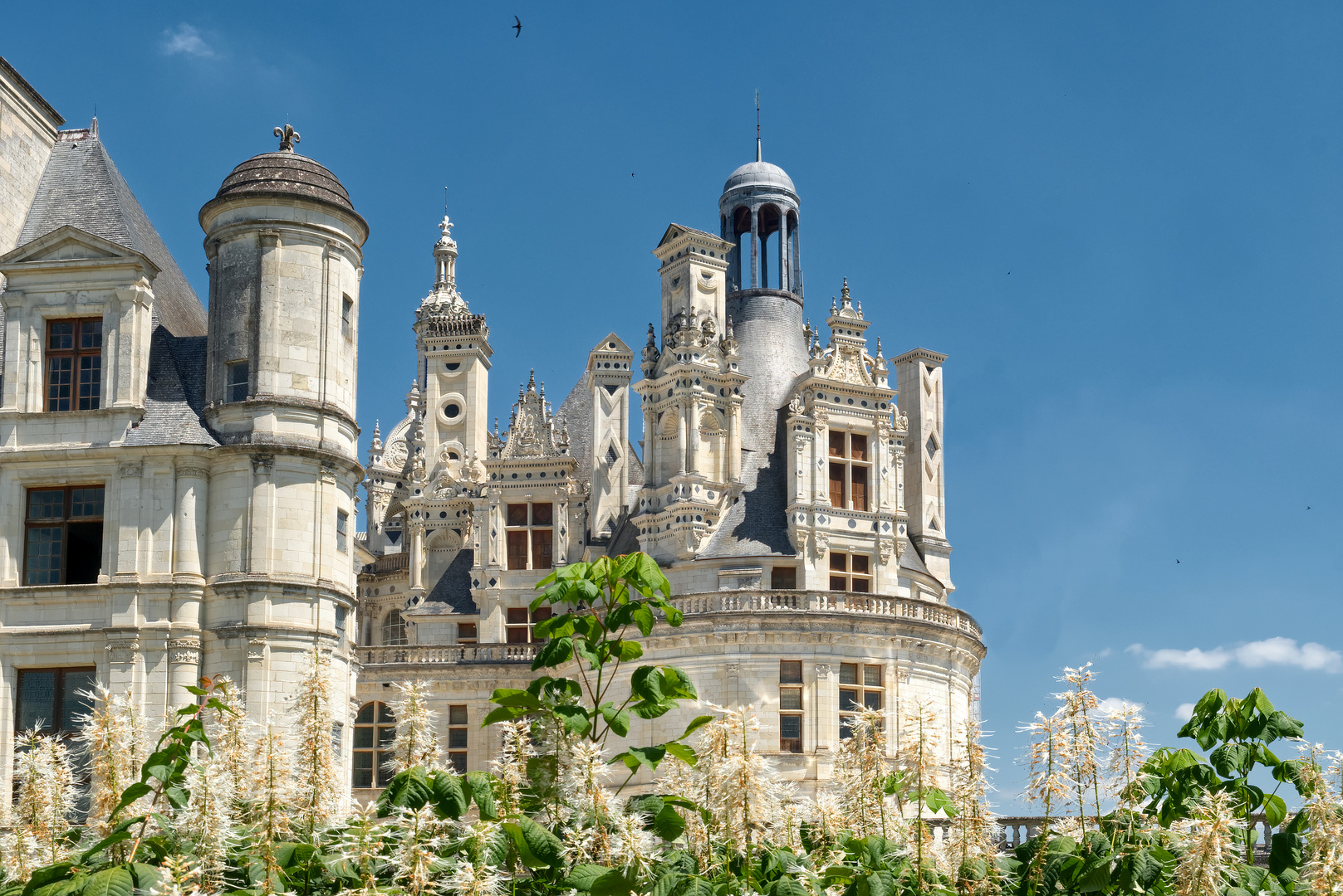 Chambord