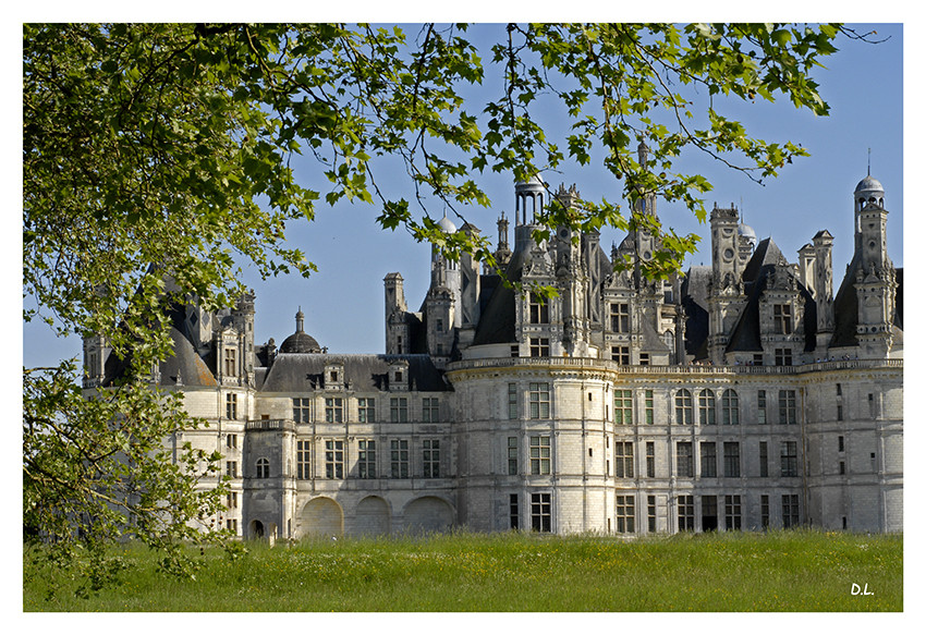 ...Chambord champêtre...