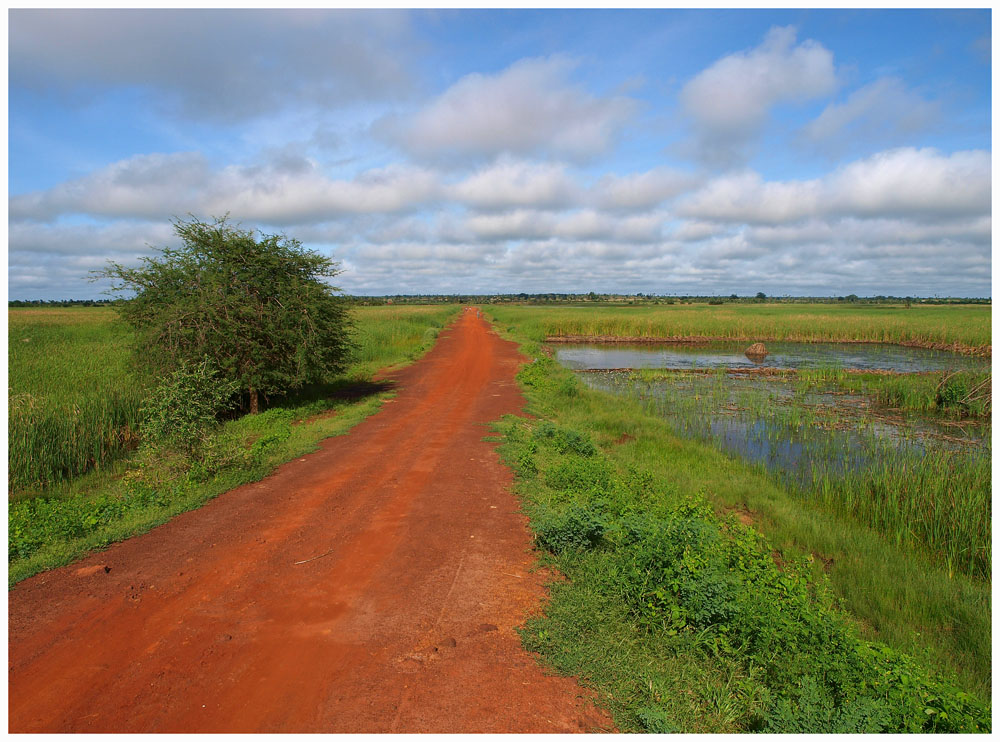 "Chamen Highway"