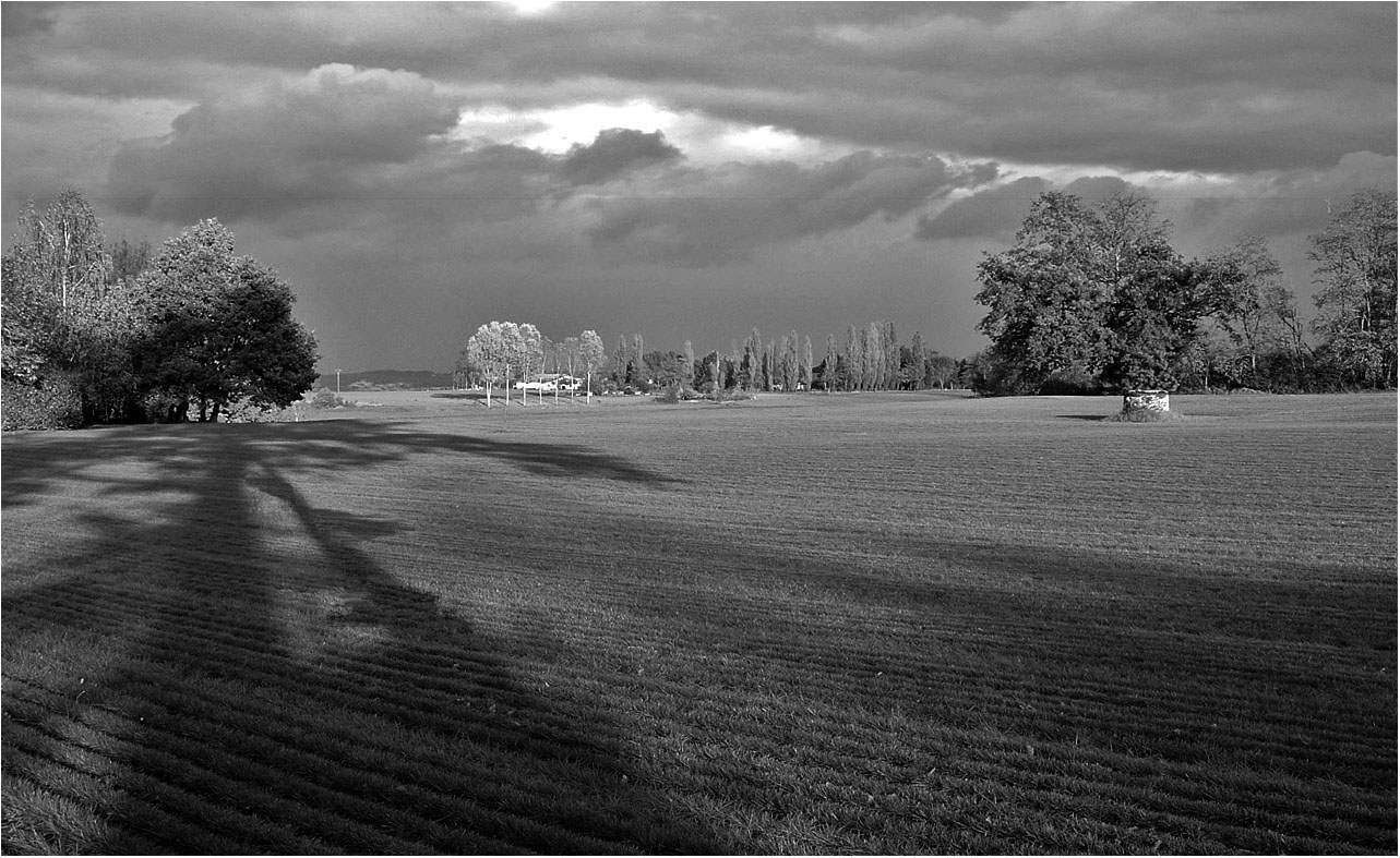 Champ de bataille d’ombres