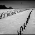 champ sous la neige