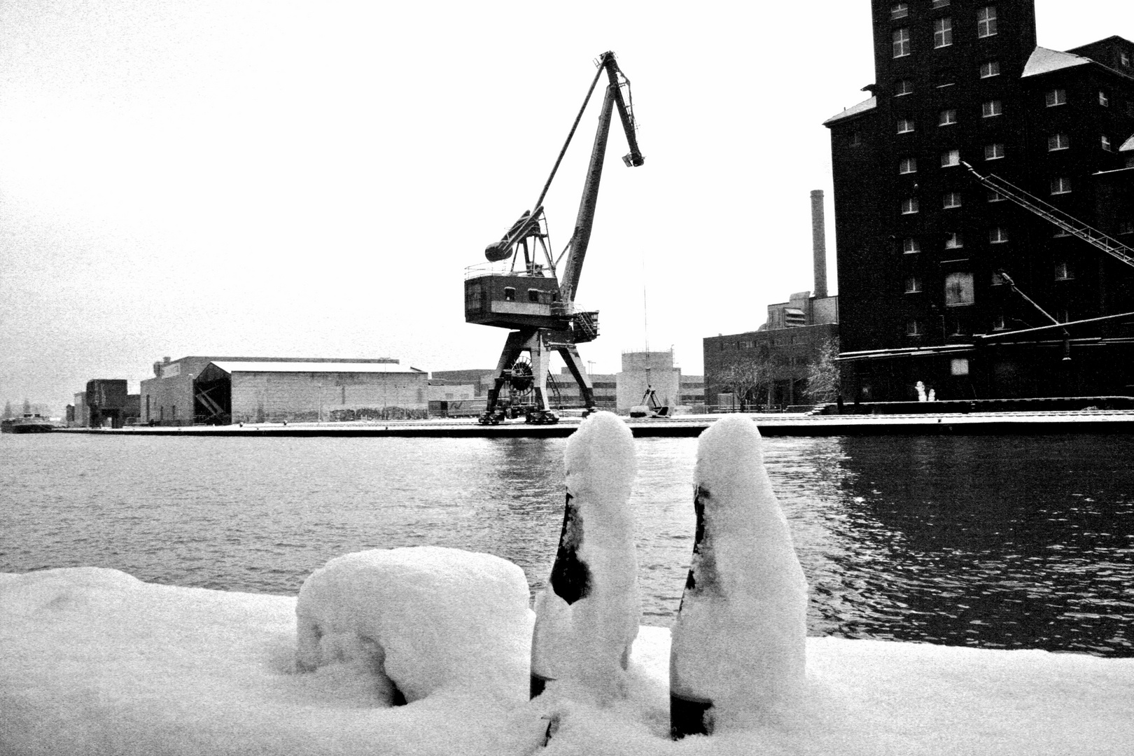 champagne and a crane