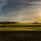 champagne Ardennes hivernale