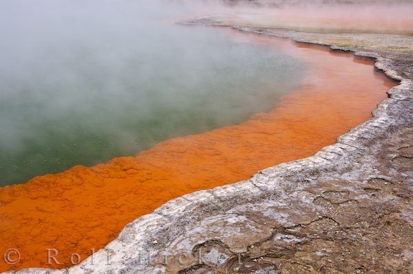 Champagne Pool