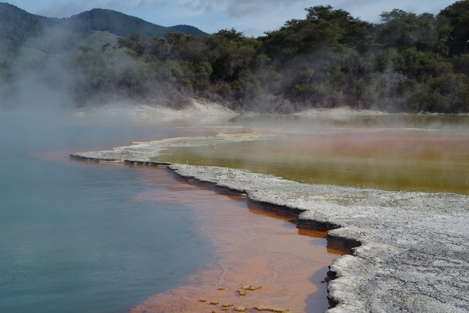 Champagne Pool