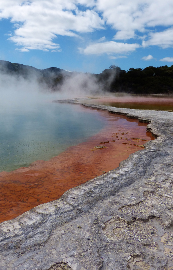 Champagne Pool