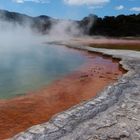 Champagne Pool