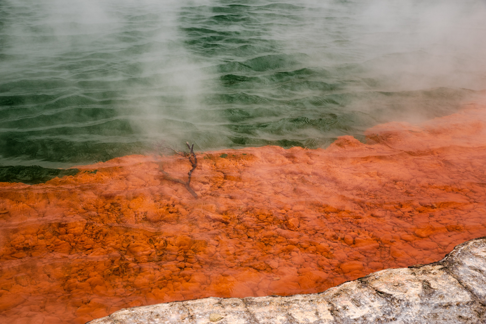 Champagne pool