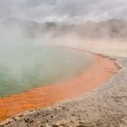 Champagne Pool bei Rotorua (Neuseeland)