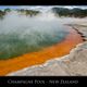 Champagne Pool