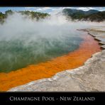 Champagne Pool