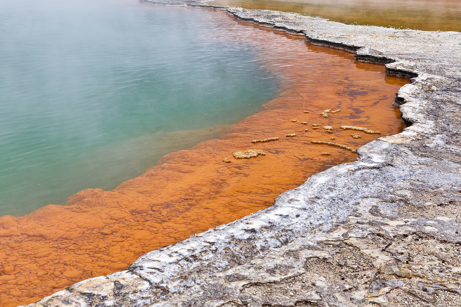 Champagne Pool