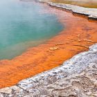 Champagne Pool