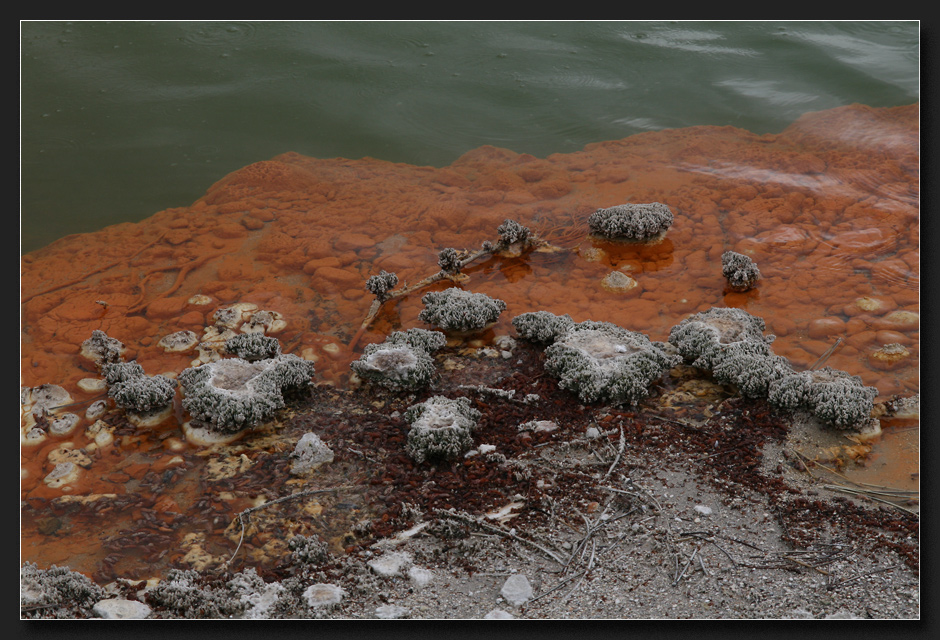 Champagne Pool, Detail