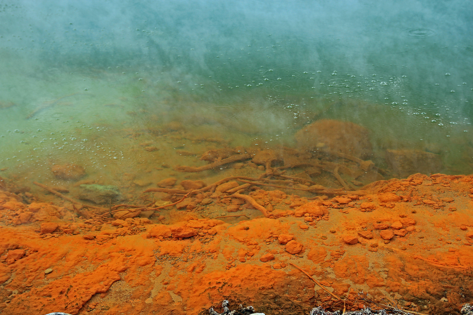 Champagne Pool