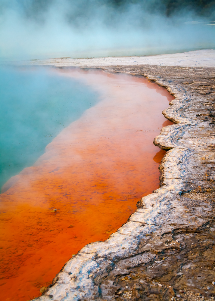 Champagne Pool