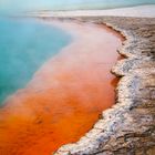 Champagne Pool