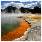 Champagne Pool