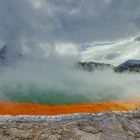 +++ Champagne Pool +++