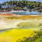 Champagne Pool im Geothermalgebiet Wai-O-Tapu, NZL