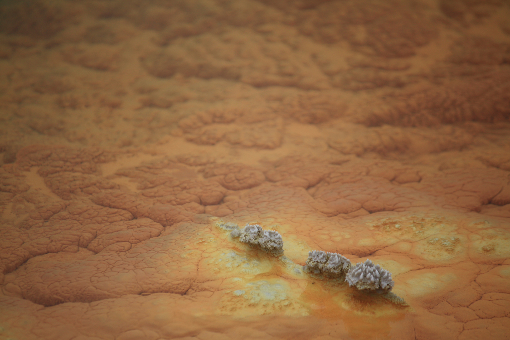 Champagne Pool in detail