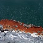 "champagne pool" in New Zealand