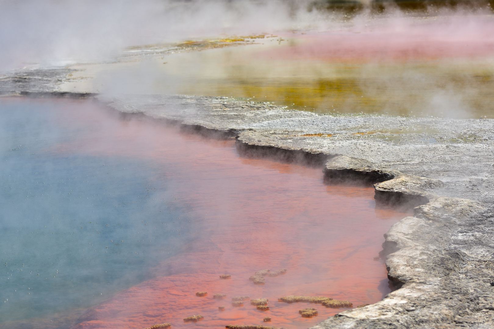 Champagne Pool, Neuseeland